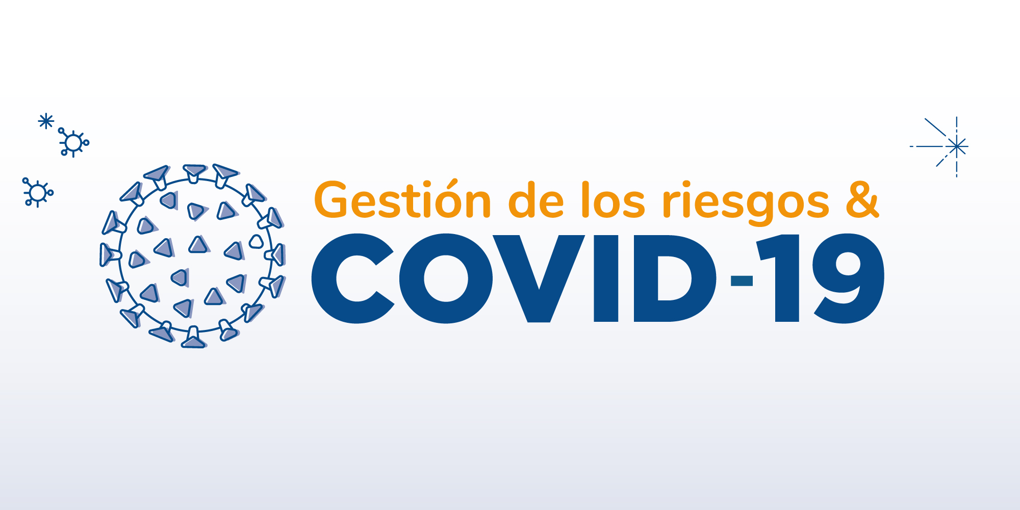 Gestión de los riesgos y Covid 19: un programa completo